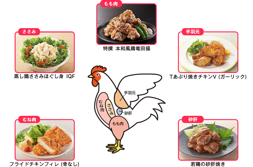 もも肉 特撰 本和風鶏竜田揚 手羽元 Tあぶり焼きチキンV(ガーリック) 砂肝 若鶏の砂肝焼き むね肉 フライドチキンフィレ(骨なし) ささみ 蒸し鶏ささみほぐし身 IQF
