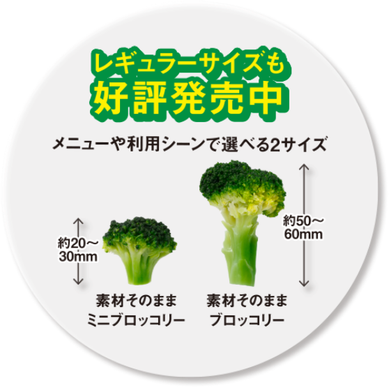 レギュラーサイズも好評発売中　メニューや利用シーンで選べる2サイズ