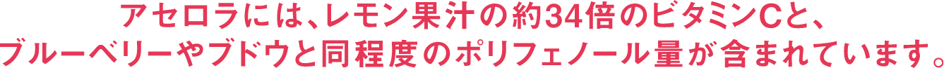 アセロラには、レモン果汁の約34倍のビタミンCとブルーベリーやブドウと同程度のポリフェノール量が含まれています。