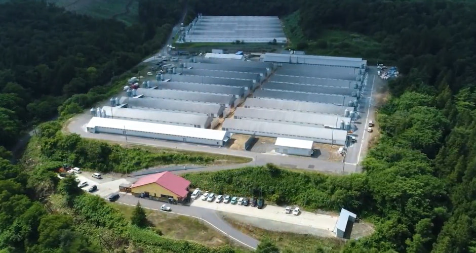 ニチレイフレッシュファームの写真