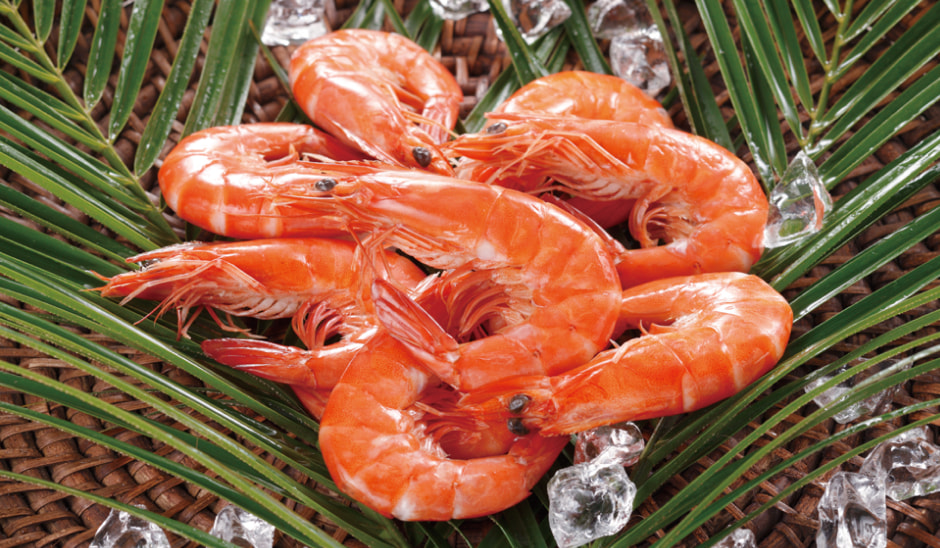 バナメイえびの写真