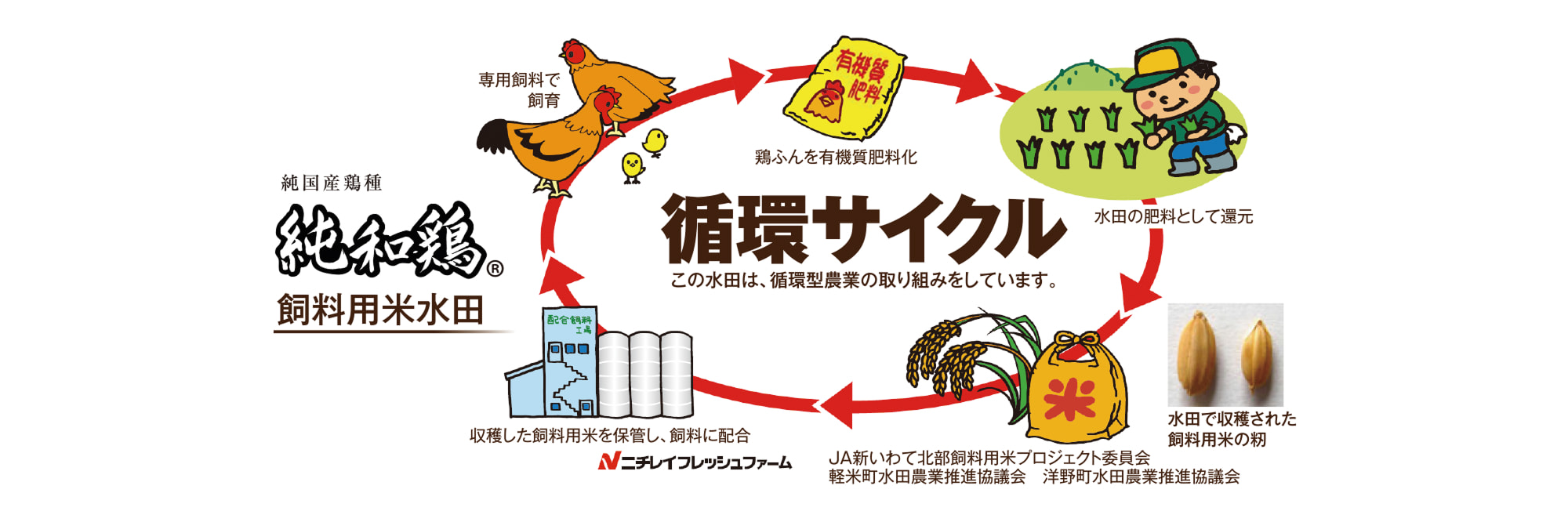 『純和鶏&reg;』循環サイクル
