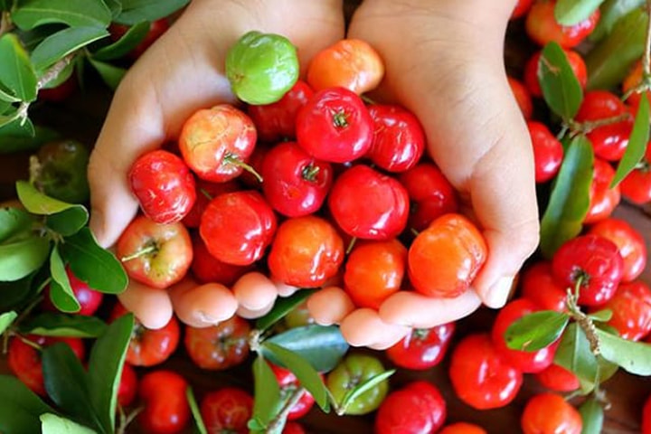 アセロラビタミンC