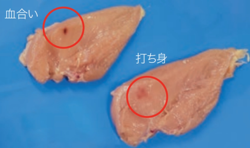 血合い 打ち身