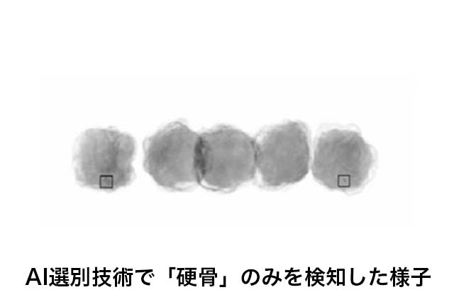 鶏肉加工品のAI選別技術