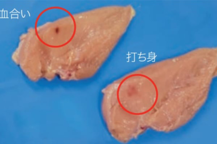 「血合い」「打ち身」の写真