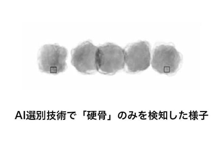 AI選別技術で「硬骨」のみを検知した様子