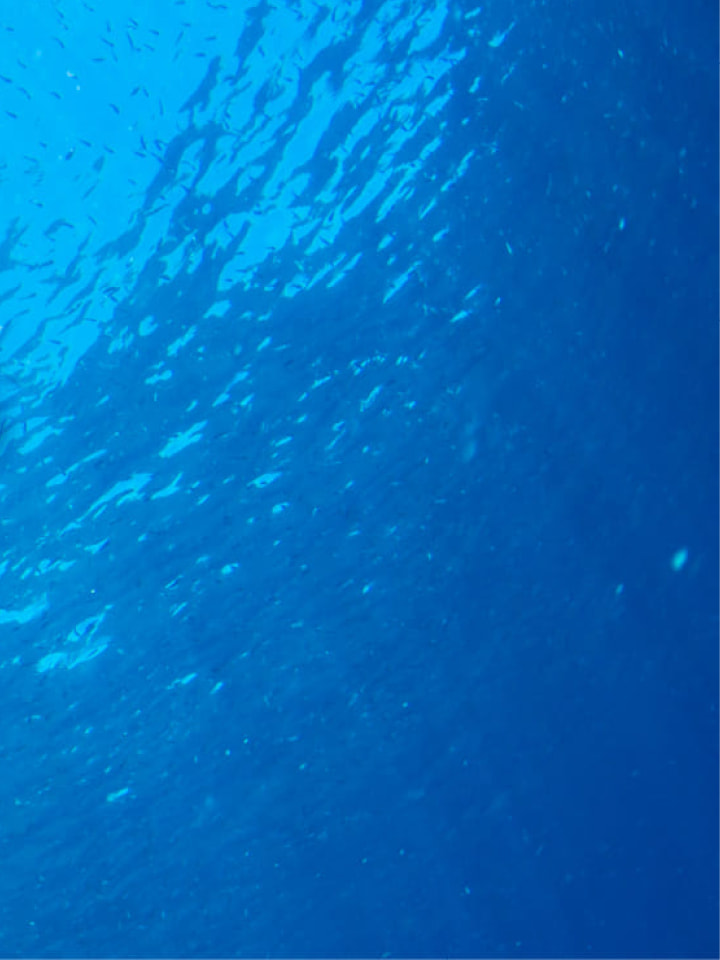 持続可能な水産物への取り組み