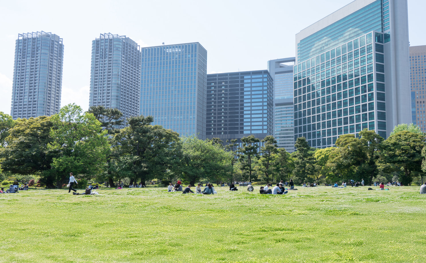 ビルと自然の写真