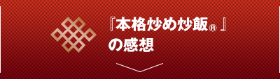 『本格炒め炒飯®』の感想