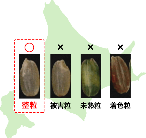 整粒 被害粒 未熟粒 着色粒