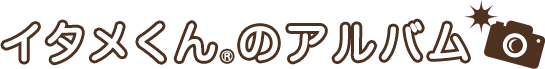 イタメくん®のアルバム