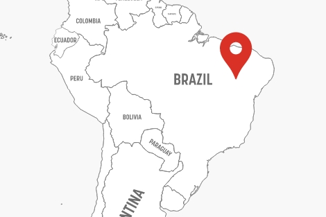 Nichirei do Brasil Agricola Ltda