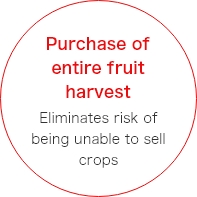 Purchase of entire fruit harvest Eliminates risk of being unable to sell crops