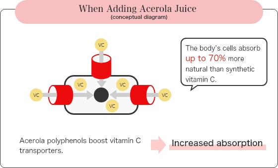 When Adding Acerola juice (conceptual diagram)