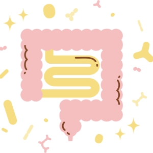 Improvement in intestinal environment