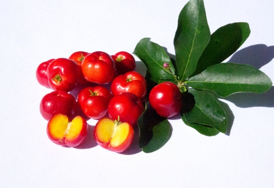 What Is Acerola?