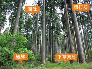 omoi_b3_after_photo