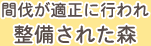 間伐が適正に行われ整備された森