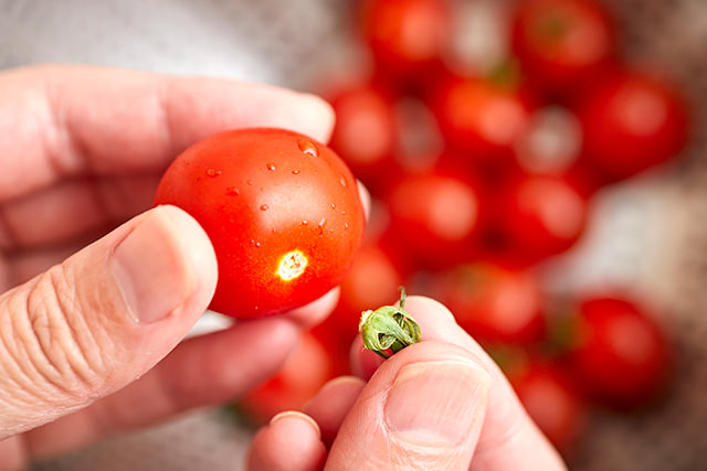 ミニトマトのヘタを取っている写真