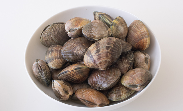 あさりの写真