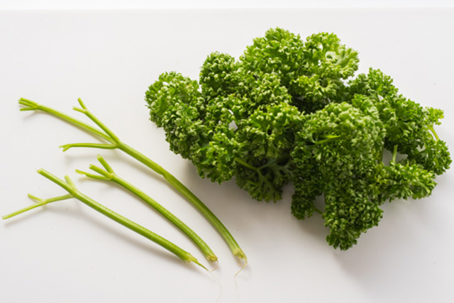 パセリと葉と茎の写真