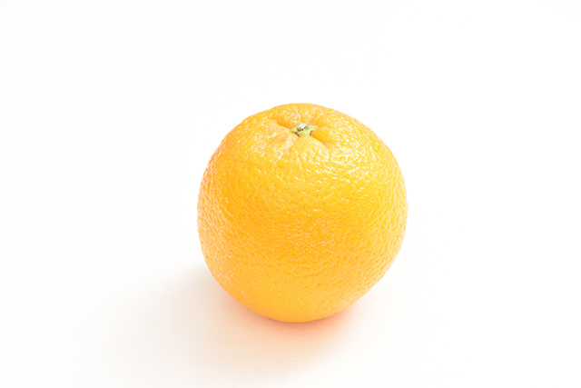 オレンジの写真