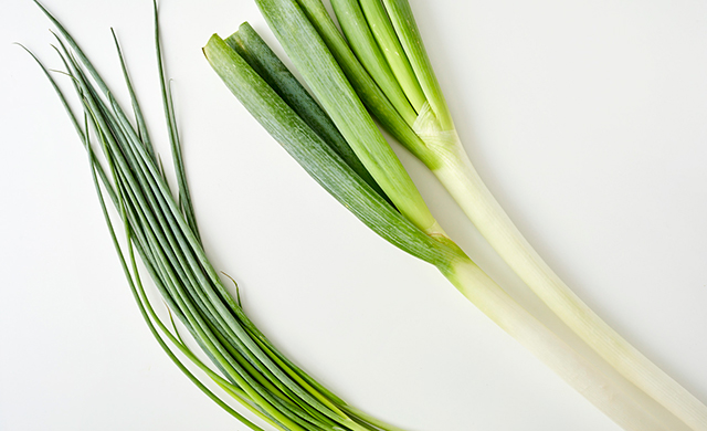 ねぎ、小ねぎの写真