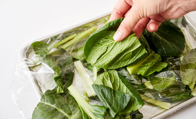 バットに敷いたラップに小松菜を置いている写真