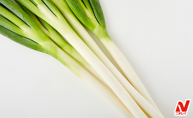 長ねぎの保存 冷蔵で3週間もつ 野菜ソムリエのテクニック ほほえみごはん 冷凍で食を豊かに ニチレイフーズ