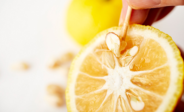 ゆずの種を取っている写真