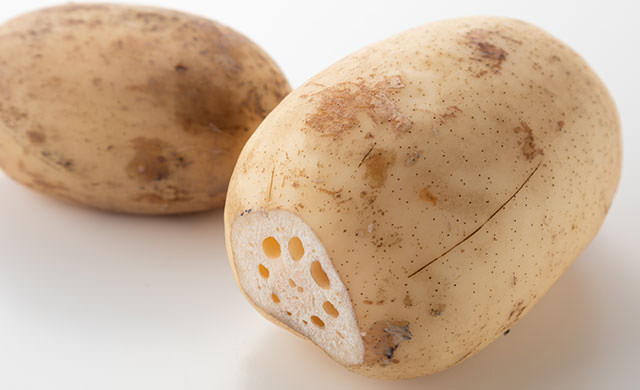 れんこんの写真