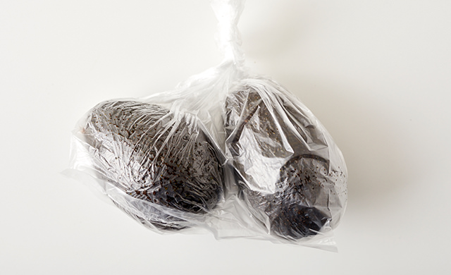 ポリ袋に入れたアボカドの写真