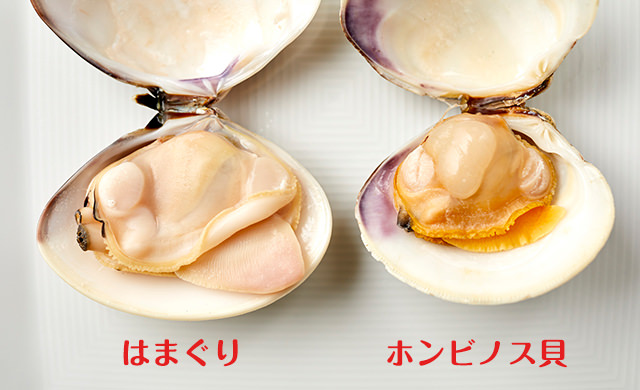 はまぐりとホンビノス貝の比較5
