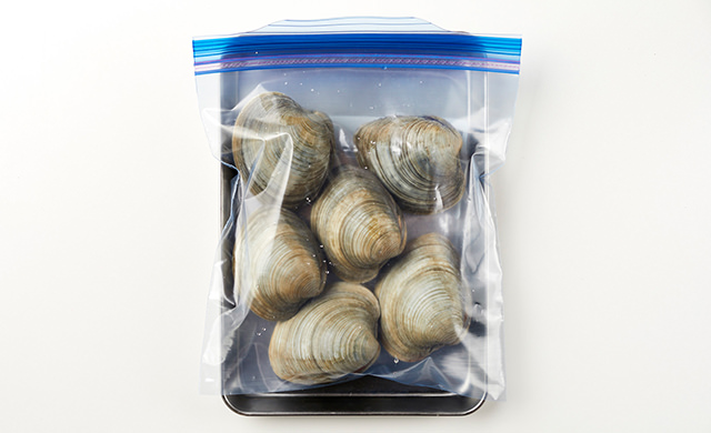 ホンビノス貝の冷凍保存方法