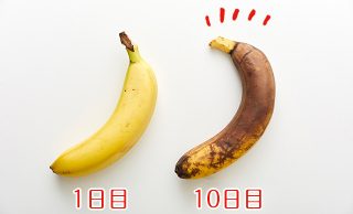 1日目と10日目の比較