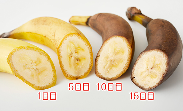 保存したバナナの集合写真