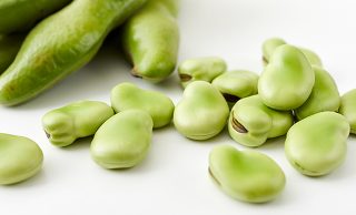 そら豆の素材のイメージカット