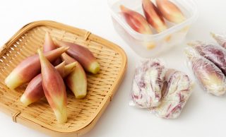 新鮮なみょうが、丸ごと冷凍したみょうが、カットして冷凍したみょうが、容器に水とみょうがが入っている写真