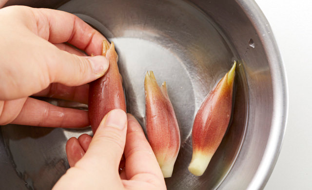 水を入れたボウルの中でみょうがを洗っている写真