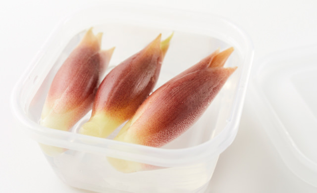 水を入れた容器にみょうがが入っている写真