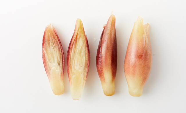 3週間水に浸けていたみょうが2個とその断面の写真