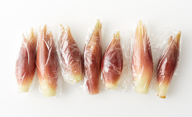 みょうがを１個ずつラップでぴったりと包んでいる写真