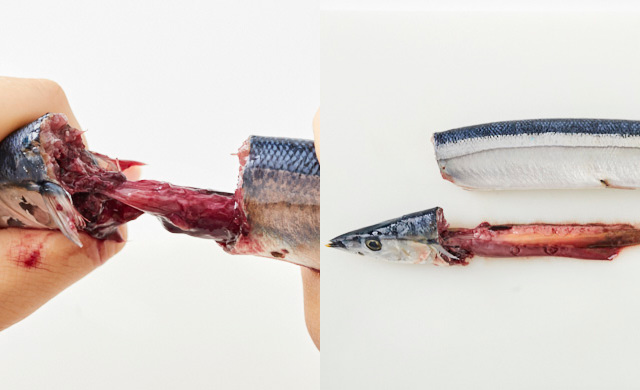 さんまの頭と身を持ち、内臓を引っ張り出している写真（左）頭ごと内臓を取った状態のさんまの写真（右）