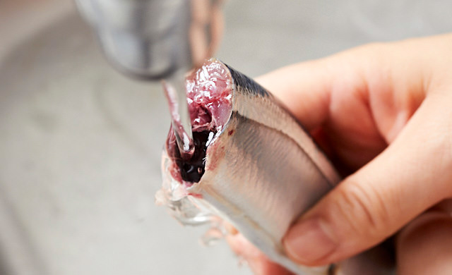 内臓を取ったさんまを流水で洗っている写真