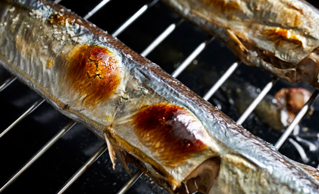魚焼きグリルで焼いたさんまのヨリ写真