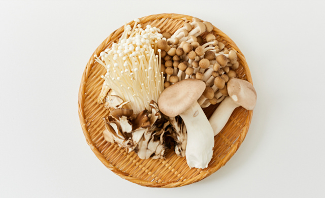 いろいろな種類のきのこの写真