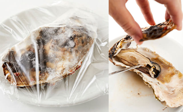 冷凍した殻付き牡蠣を電子レンジで解凍する写真/冷凍した殻付き牡蠣を電子レンジで解凍する写真