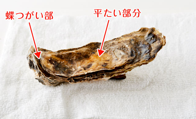 牡蠣の冷凍 生牡蠣のプリプリ食感を1ヵ月キープするテクニック ほほえみごはん 冷凍で食を豊かに ニチレイフーズ 牡蠣の冷凍 生牡蠣のプリプリ食感を1ヵ月キープするテクニック ほほえみごはん 冷凍で食を豊かに ニチレイフーズ