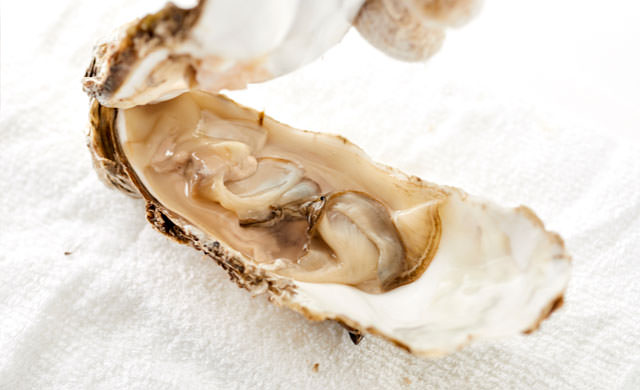 殻付き牡蠣の写真